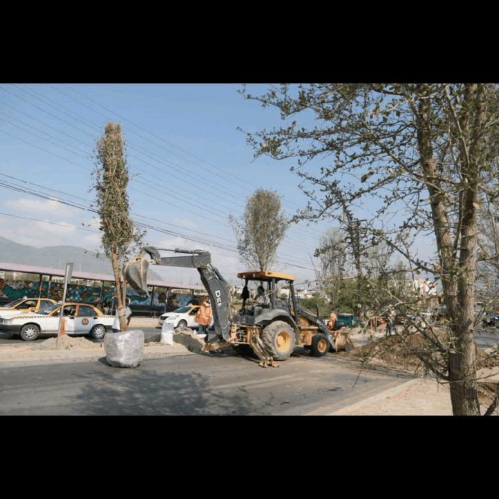 Reanudan trabajos de reforestación en camellones de García