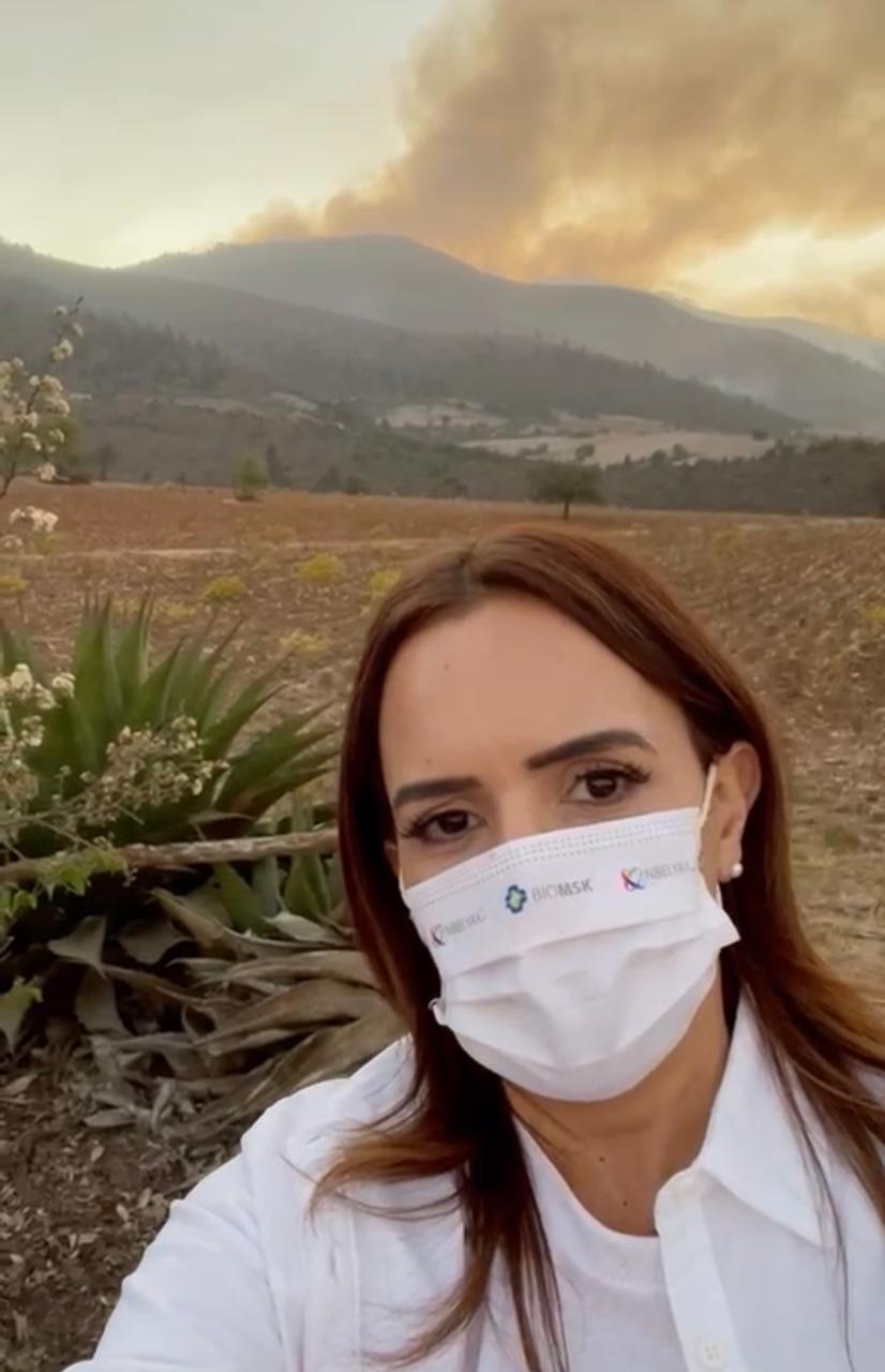 Lanza Clara Luz reto a candidatos para reforestar sierra de Santiago; dona 5 mil especies