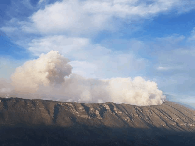 Declarará Nuevo León zona de desastre por incendios forestales