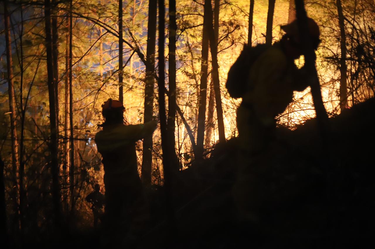 Control de incendio forestal en Santiago en 75 por ciento