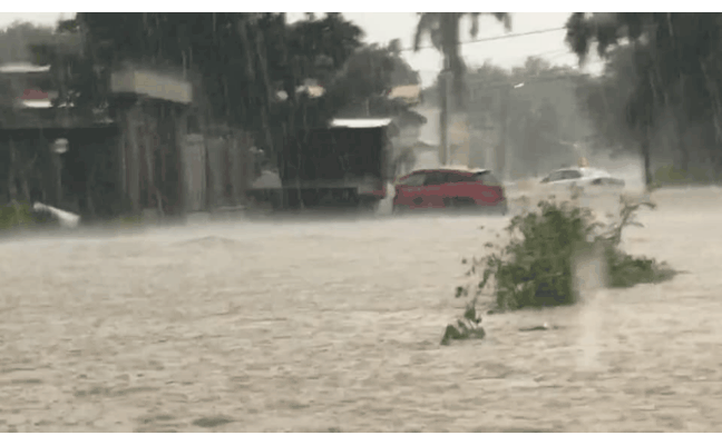 Apoyan rescatistas de PC en zona citrícola por tormenta