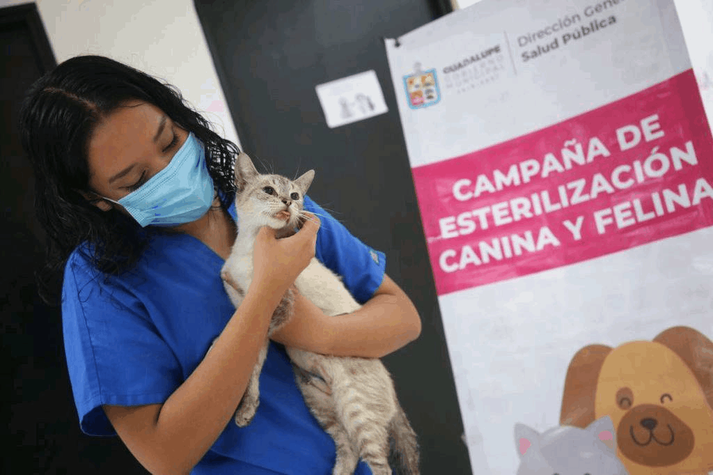 Promueve Guadalupe campaña de esterilización de mascotas