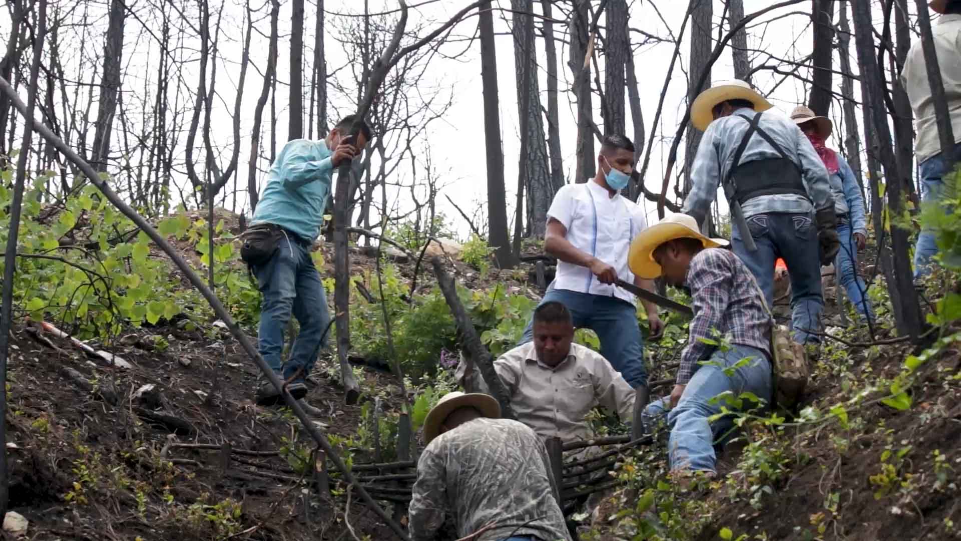 Recuperarán zona afectada por incendios