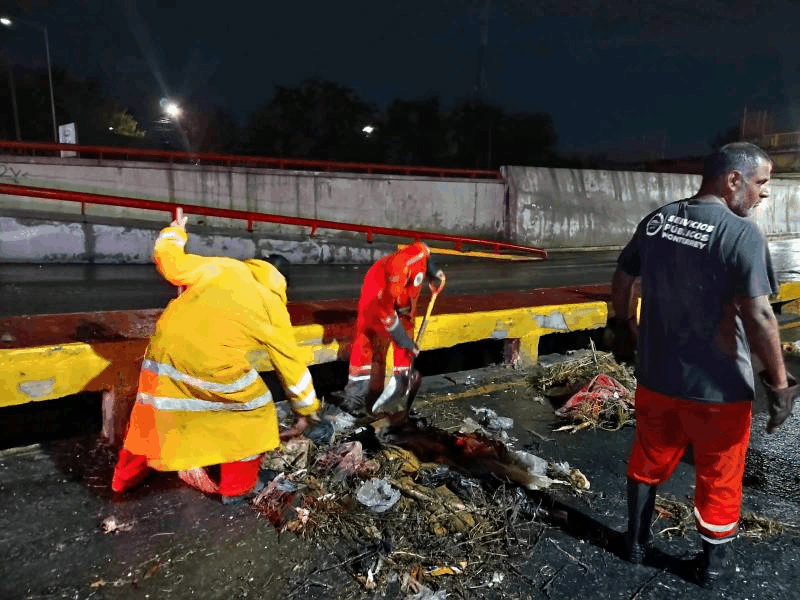 Retiran en medio día más de 159 toneladas de basura de parrillas en Monterrey
