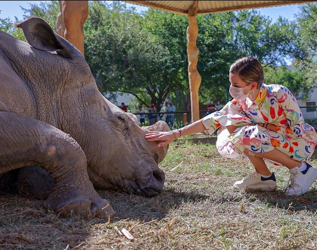 Realiza Mariana Rodríguez recorrido en el zoológico La Pastora