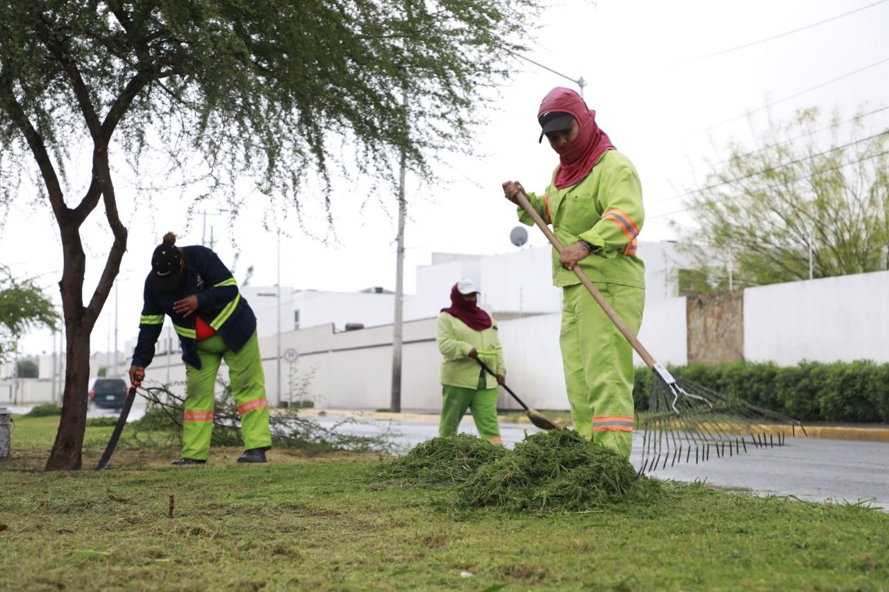 ACTIVA ESCOBEDO OPERATIVO INTEGRAL DE MANTENIMIENTO DE CALLES Y AVENIDAS