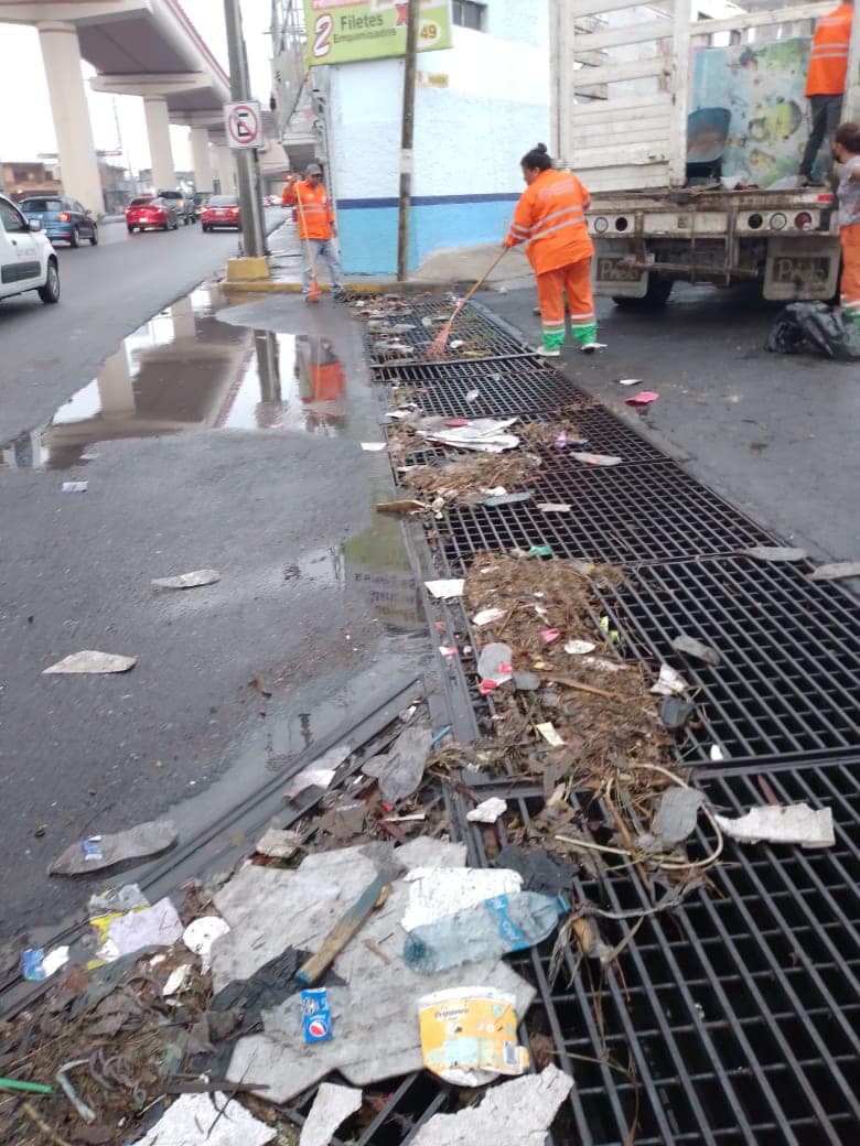 Se producen en Monterrey hasta mil toneladas diarias de basura