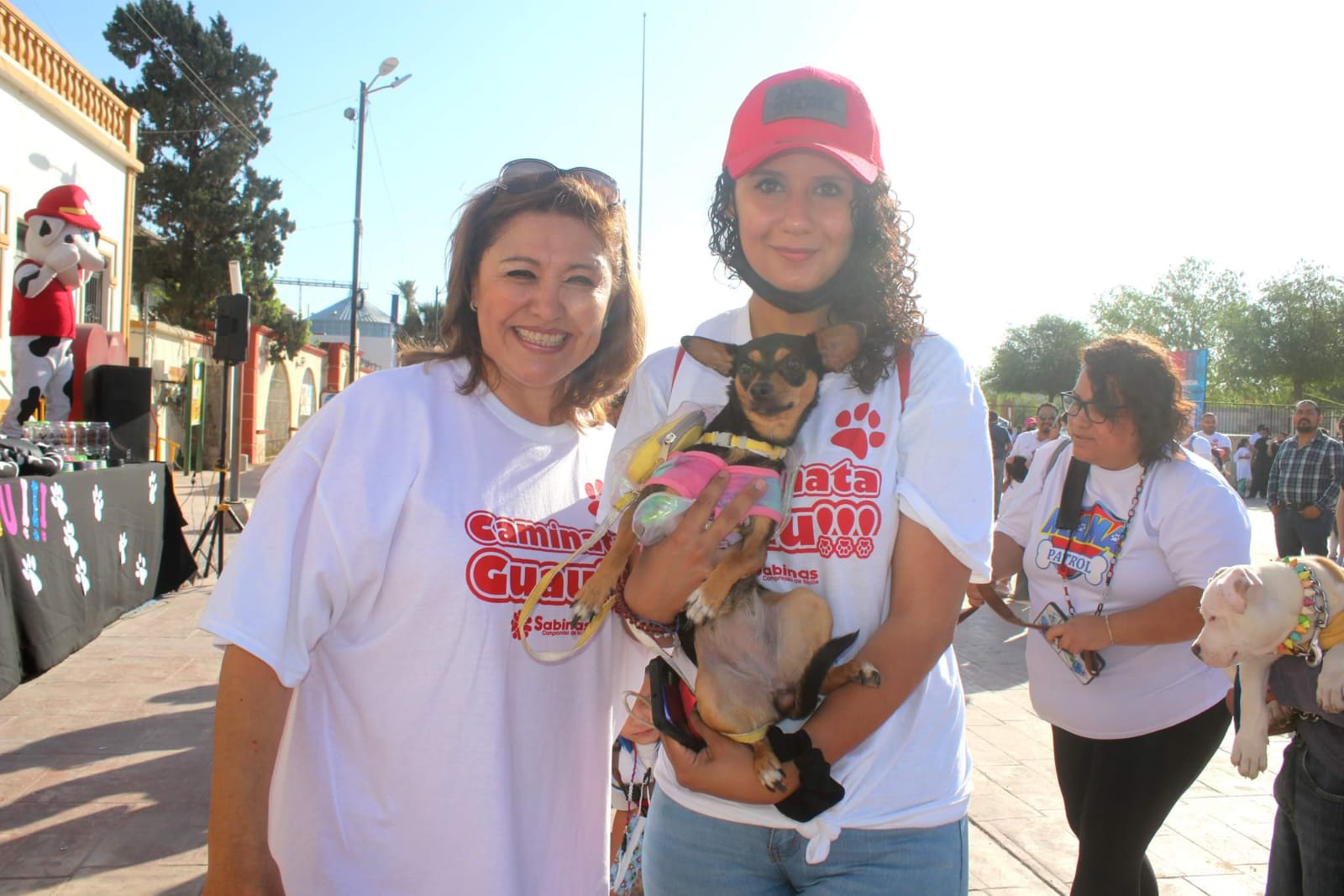 Realizan campaña de vacunación canina en Sabinas