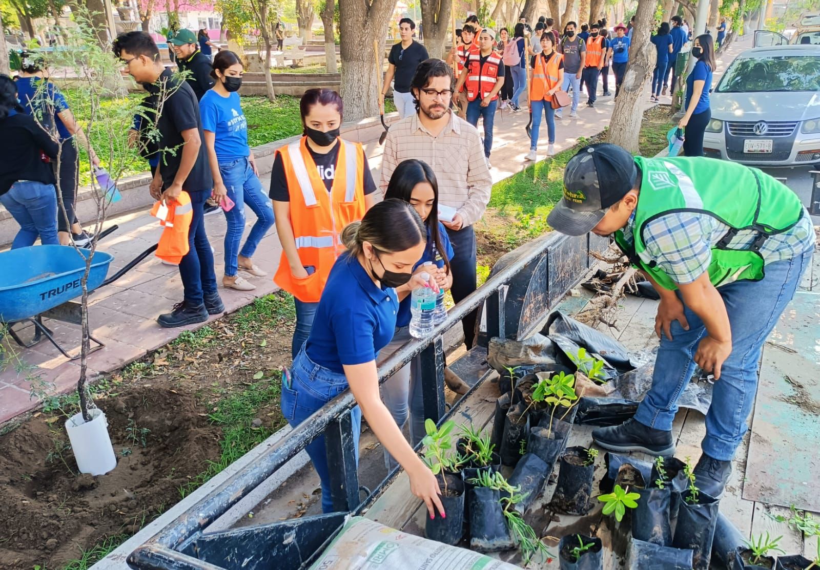 Involucran a la ciudadanía en acciones de reforestación