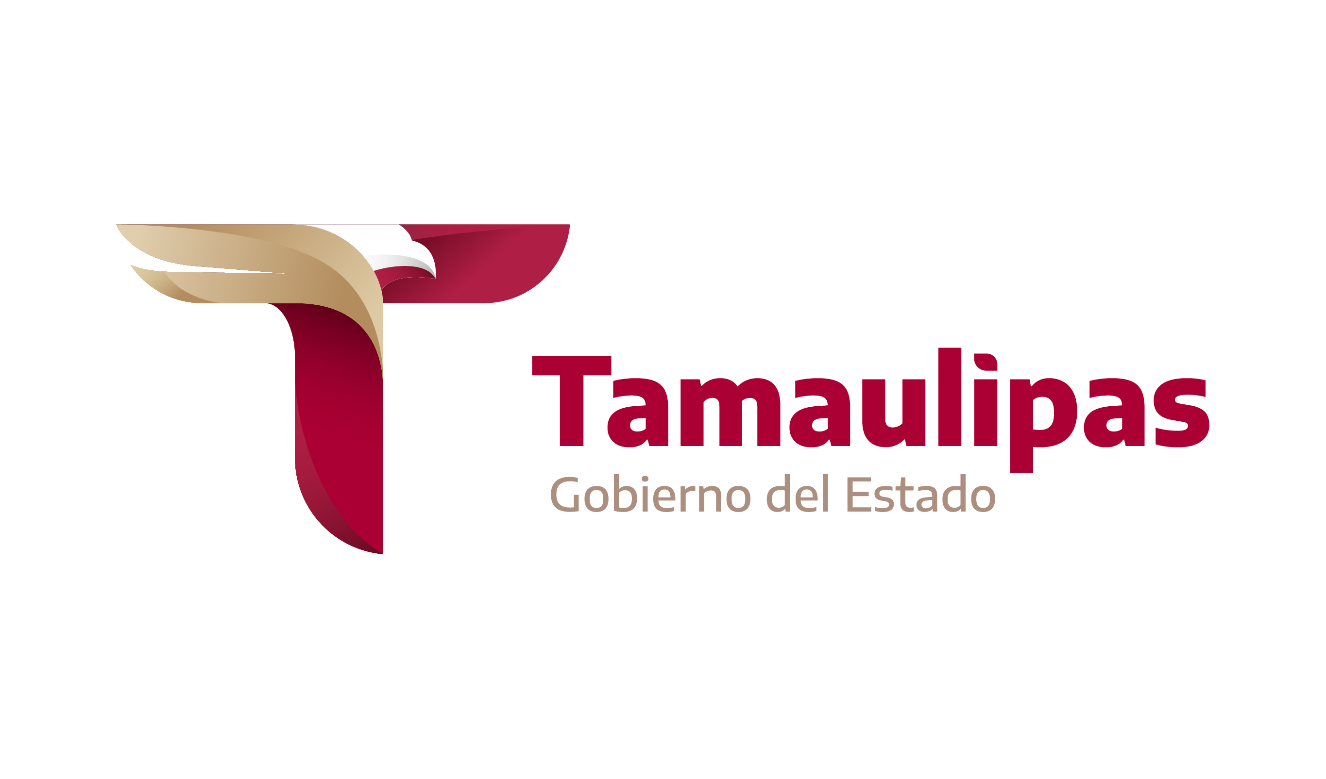 Confirma Gobierno de Tamaulipas sanos y salvos a artesanos poblanos