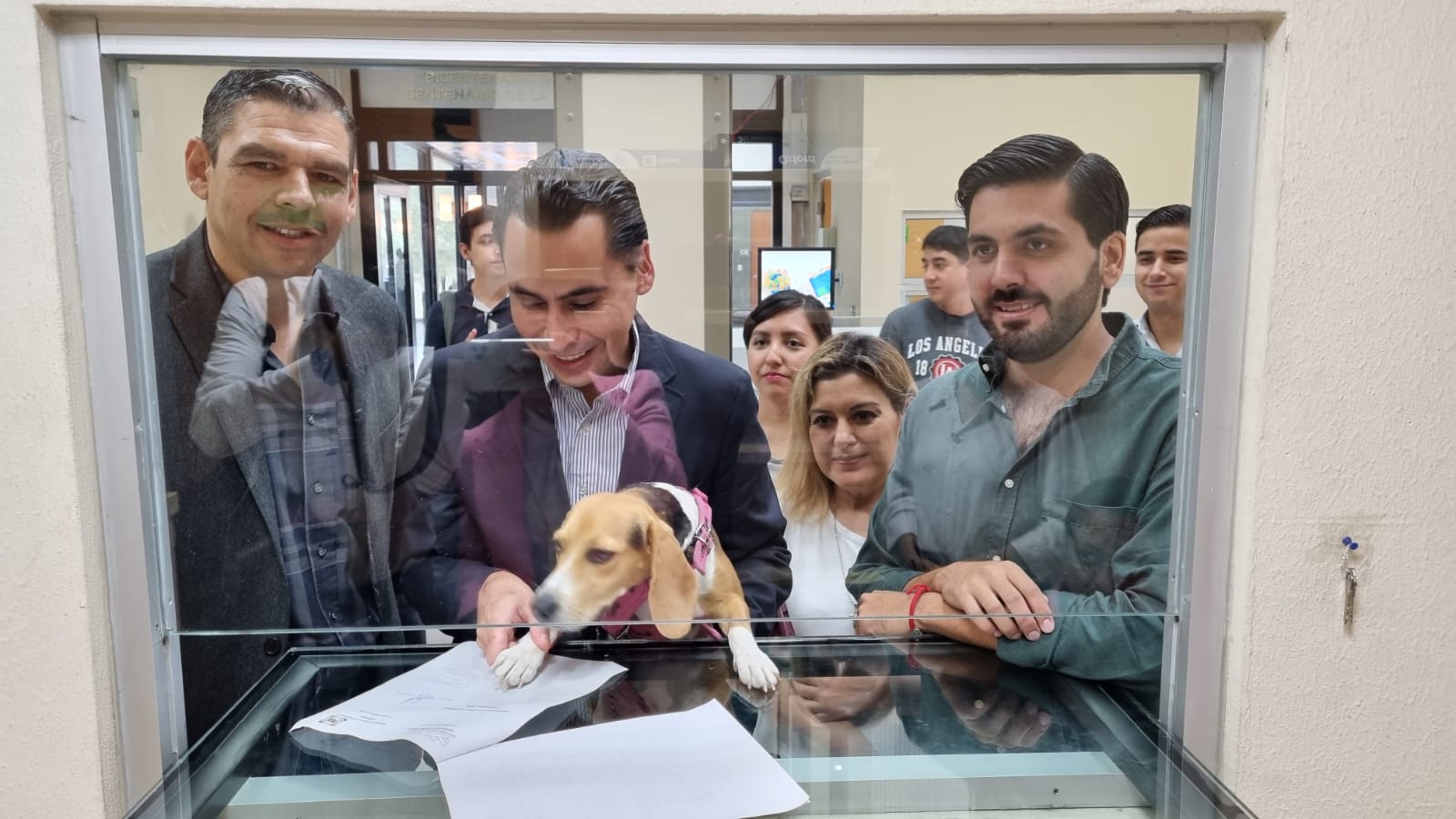 Propone PAN profesionalzación en atención animal