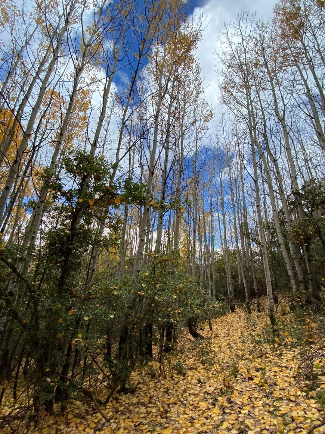 Dueños de la Sierra Marta prohíben cruces a la cima