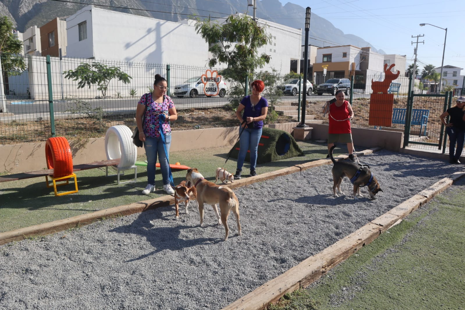 Crea Nava parque mascotas en Santa Catarina