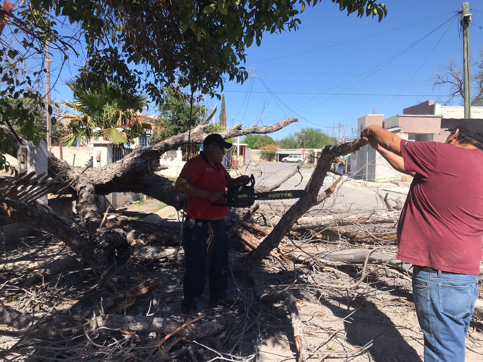 Atendió Protección Civil y Bomberos de Sabinas incidentes por fuerte viento