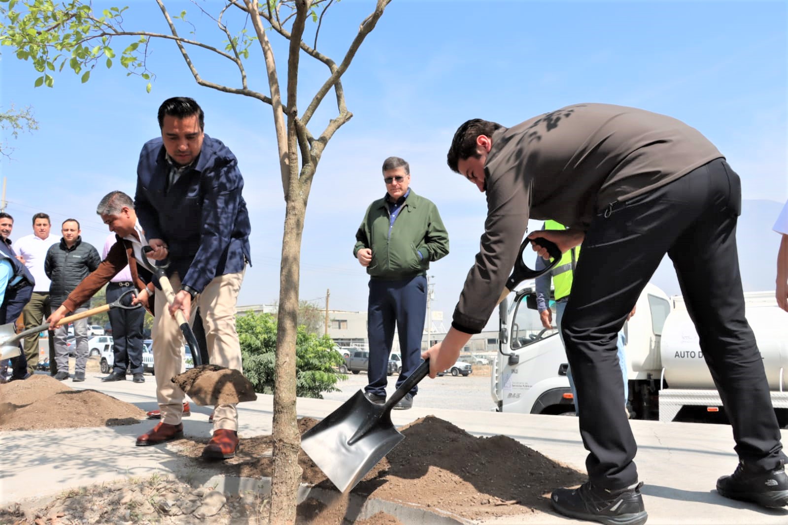 Plantarán más de 2 mil árboles en Santa Catarina