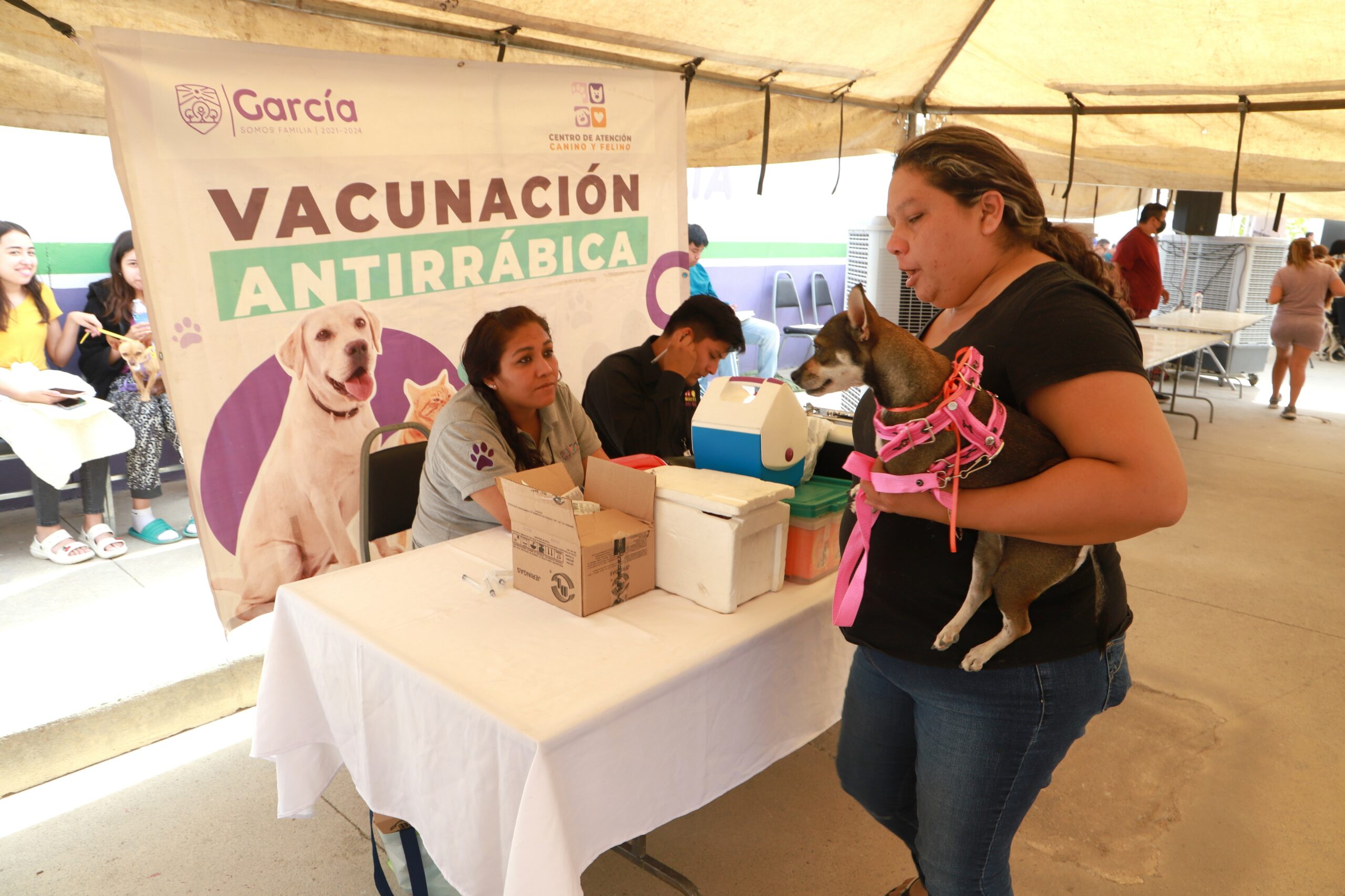 Realizan campaña masiva de esterilizaciones en García