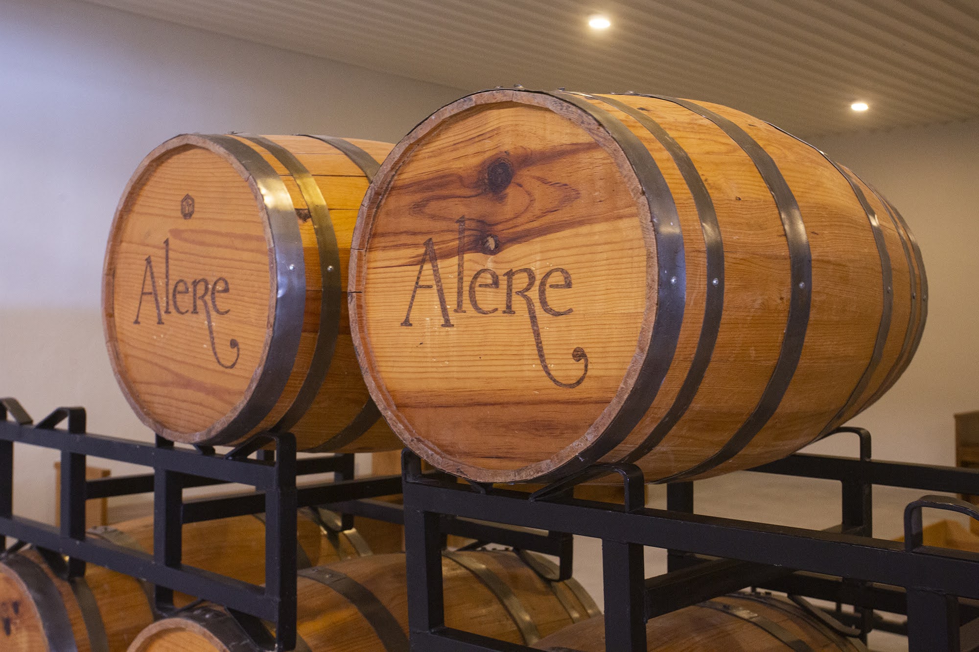 Inaugurará UANL bodega vinícola durante la Vendimia 2023