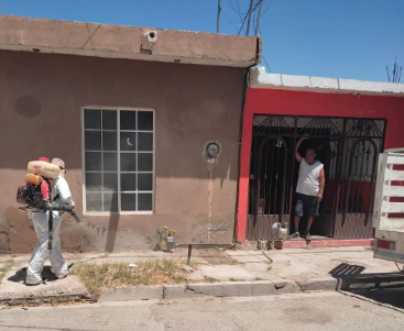 Implementan acciones contra mosco y garrapata en colonias de Torreón
