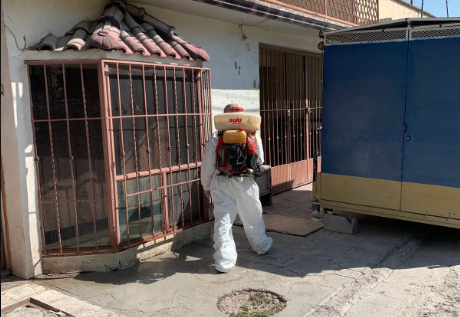 Continúa Torreón acciones de fumigación contra garrapata