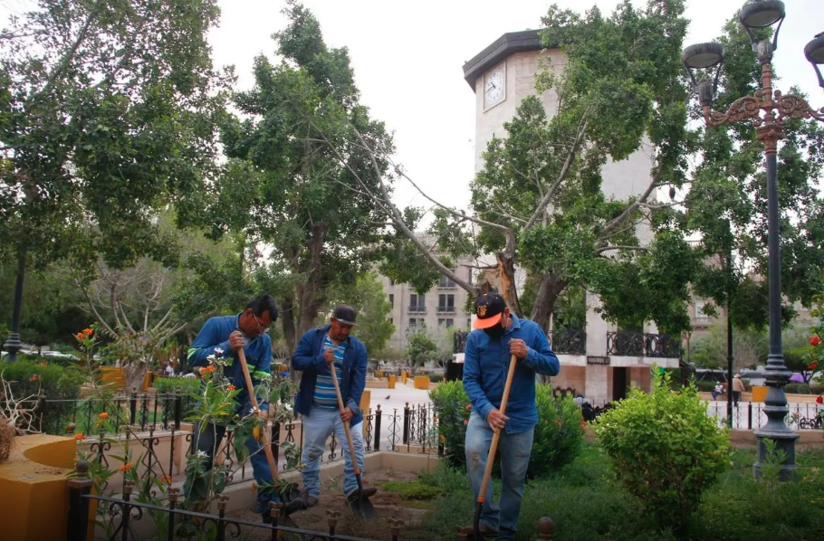 En Torreón continúa la instalación de jardines polinizadores