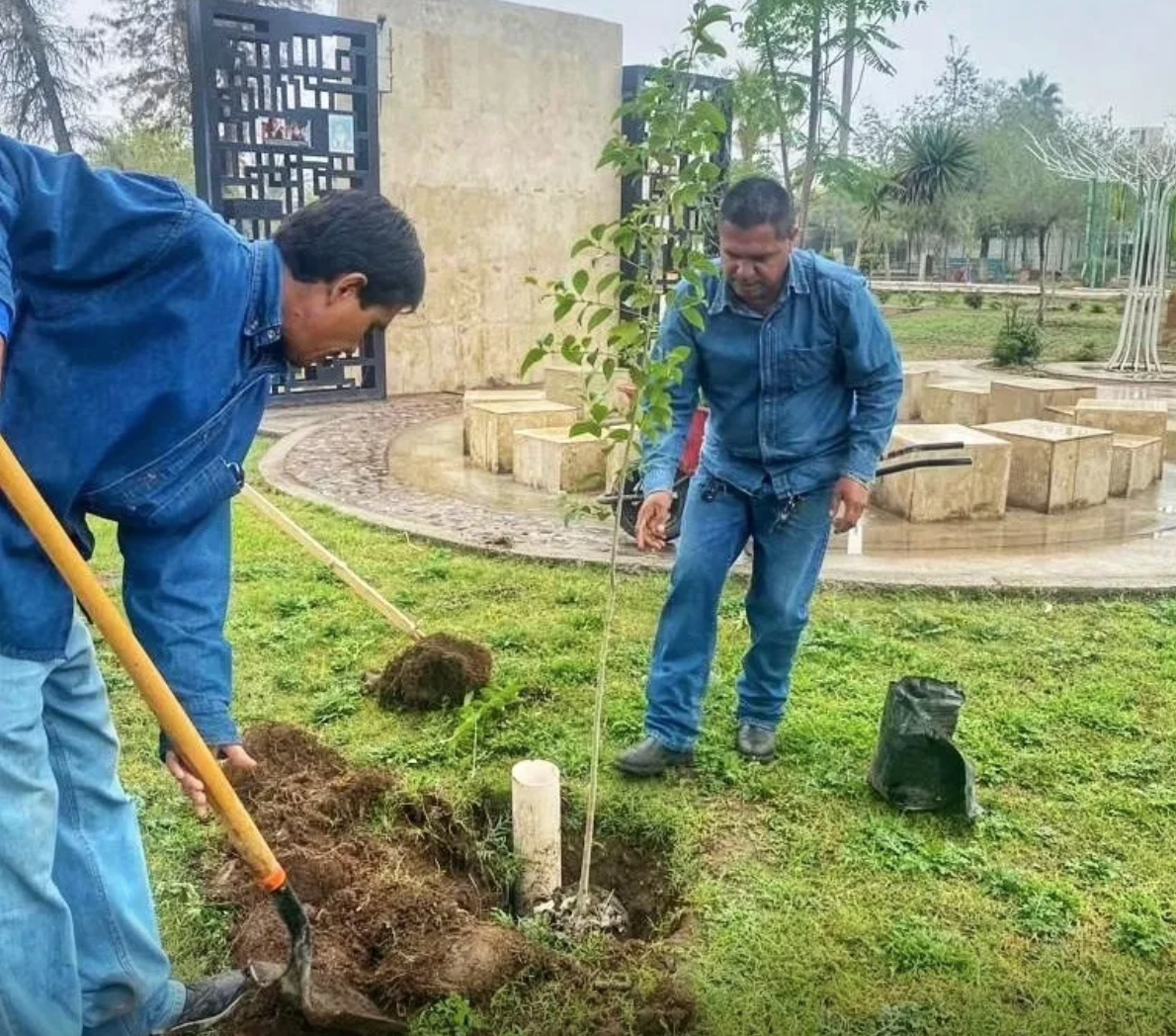 Instalará Torreón 400 plantas más en la Alameda