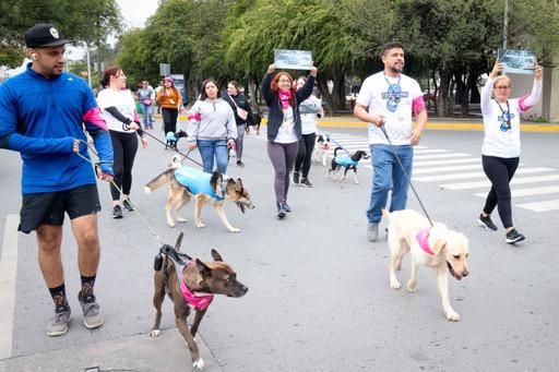 Realiza San Nicolás camina contra maltrato animal