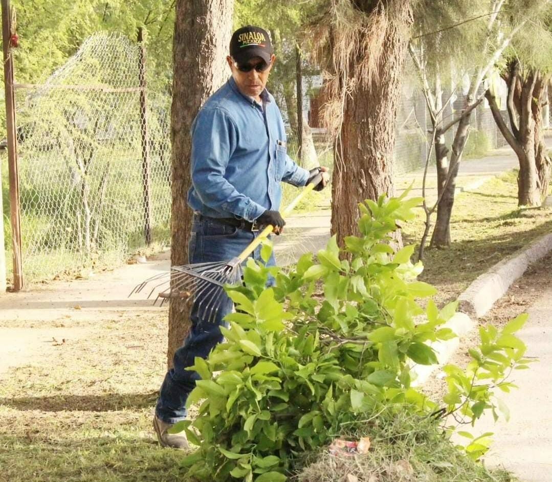 Inicia temporada de poda responsable para el arbolado urbano