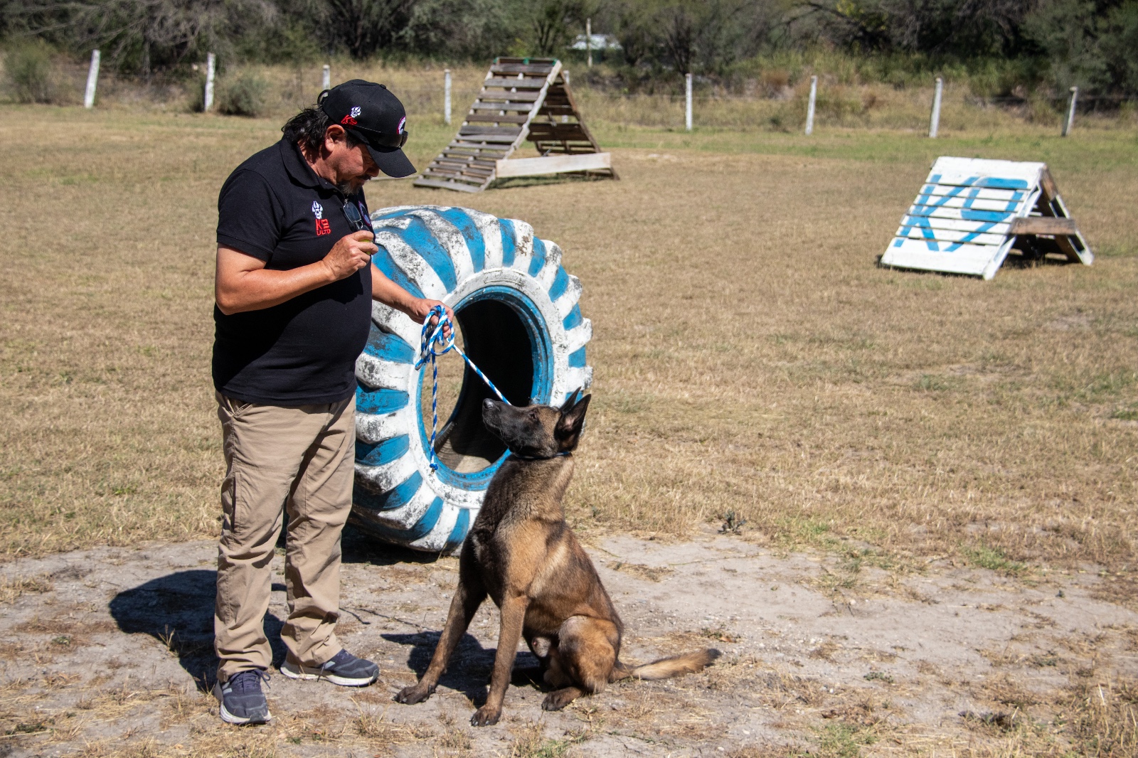 Implementa la UAT cursos de adiestramiento canino