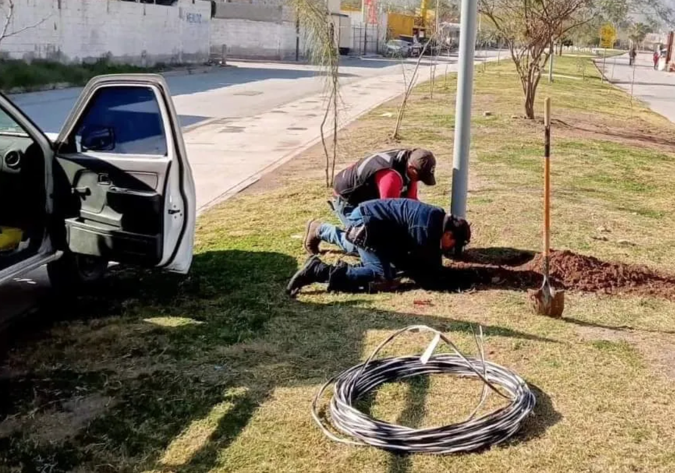 Línea Verde recibe mantenimiento en áreas verdes