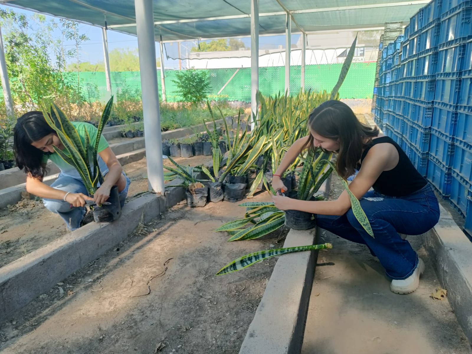 Dirección de Medio Ambiente de Torreón lleva reforestación a planteles educativos