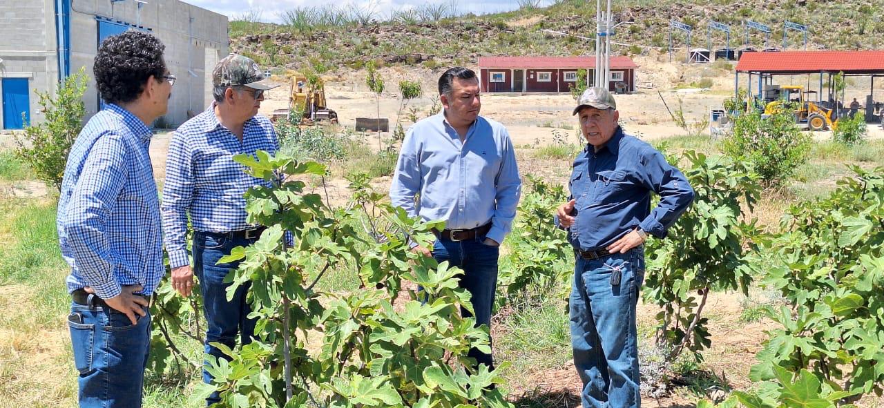 Avanzan programas para el campo en Coahuila