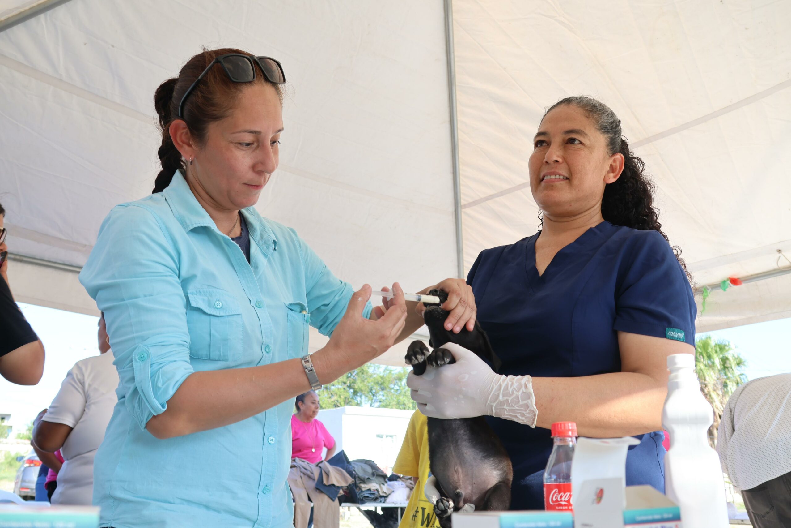 “La Maestra en tu Colonia” llegará este jueves a la Chapultepec