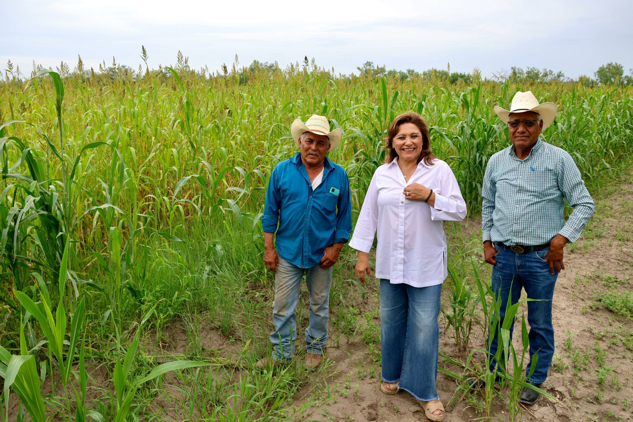 Recorre Diana Haro ejido Guadalupe Victoria; supervisó cosecha de sorgo