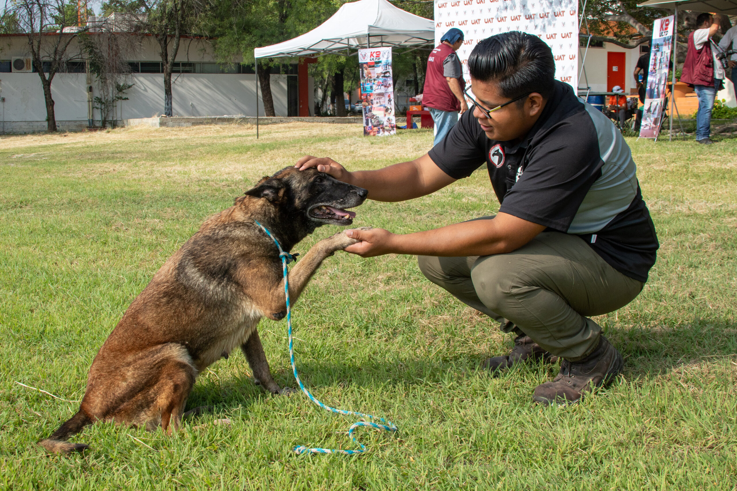 Pondrá la UAT en adopción héroes caninos