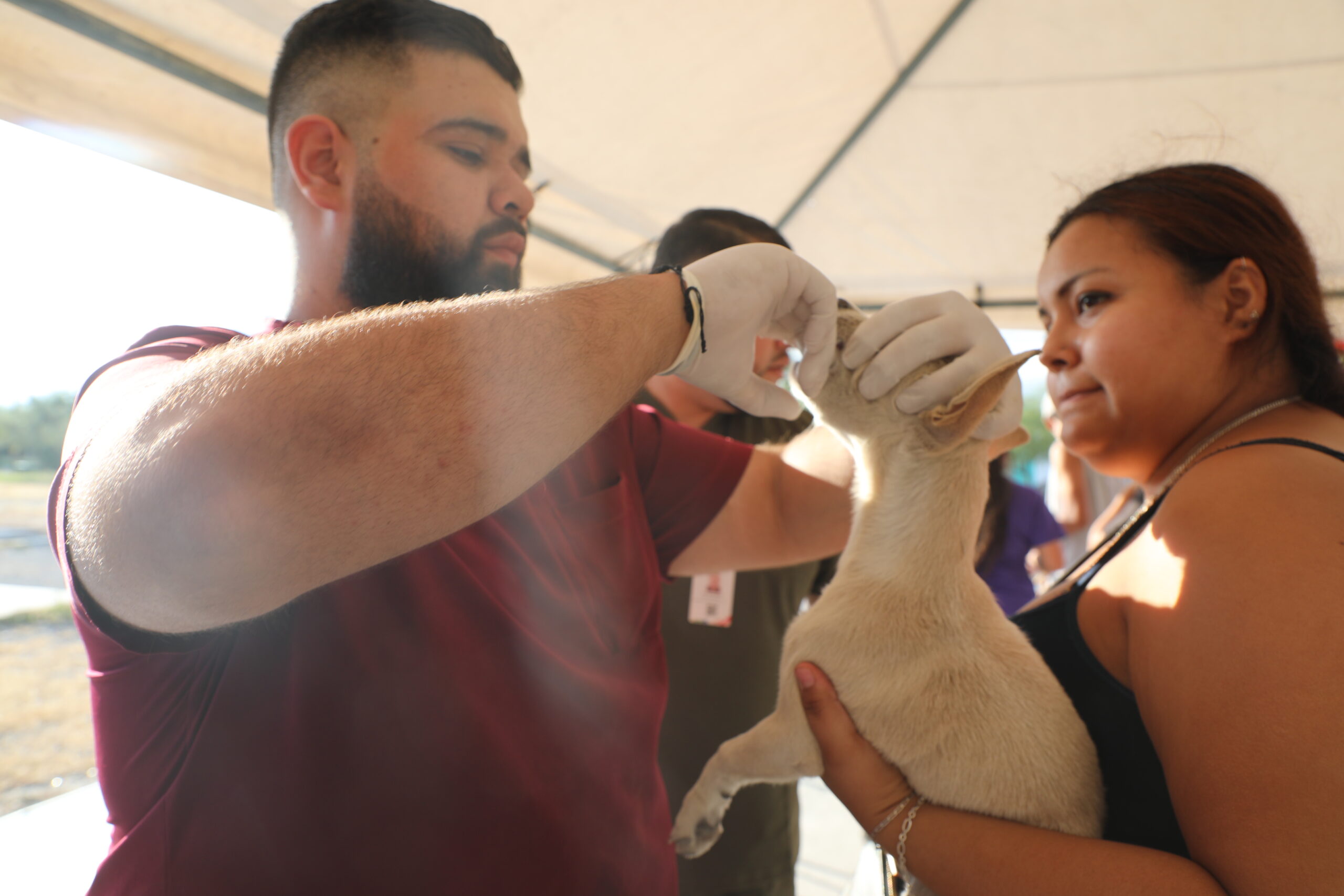 Va Escobedo por bienestar de las mascotas, refuerzan vacunación y desparasitación