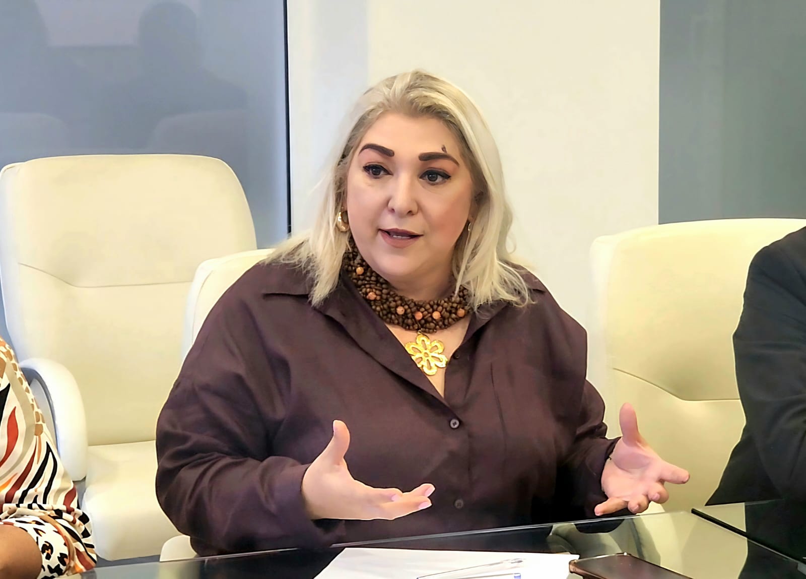 Recibe Tamaulipas más de mil 57 MDP por regularización de autos: Adriana Lozano