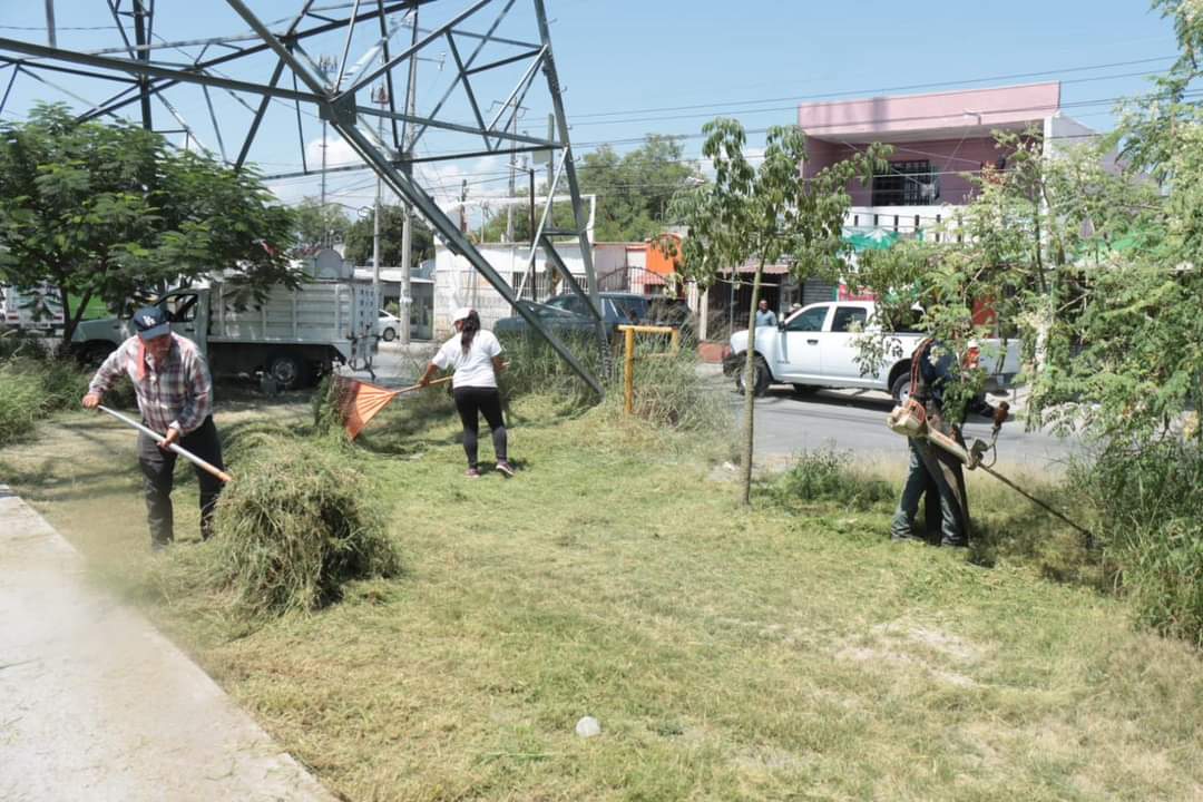 Intensifican en Juárez trabajos de deshierbe en áreas verdes