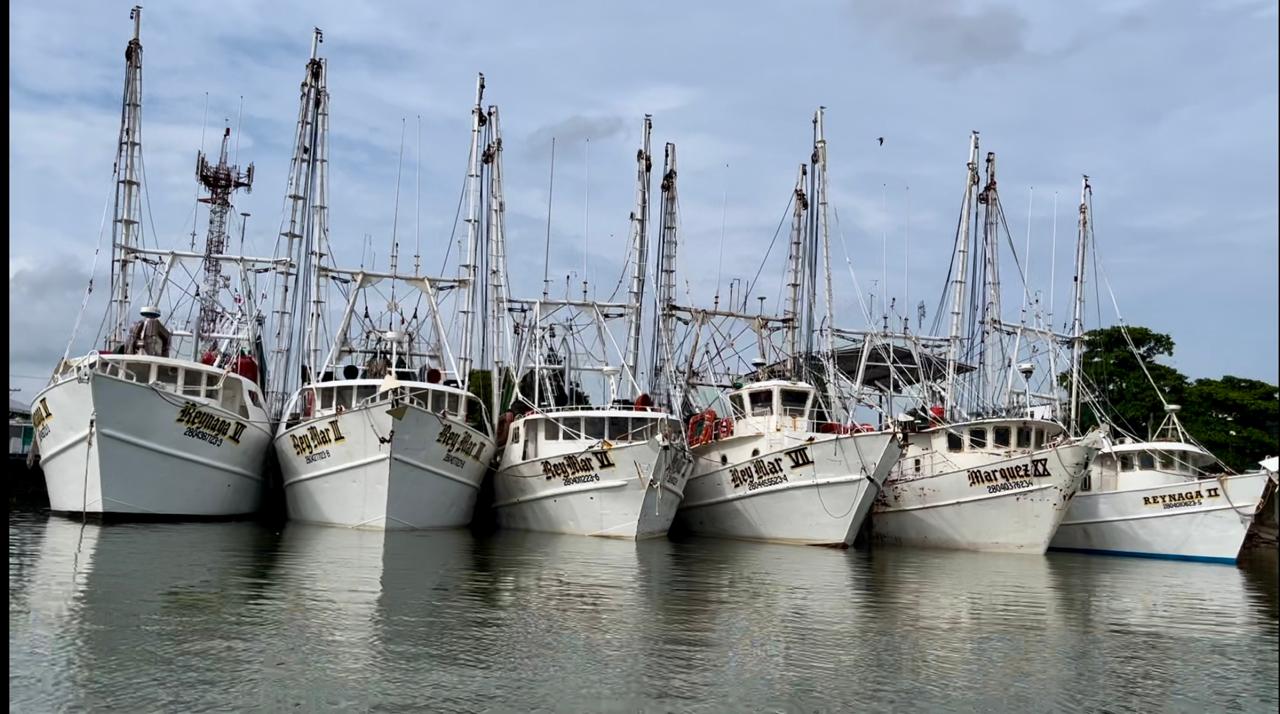 Es flota camaronera tamaulipeca, la más grande del Golfo de México