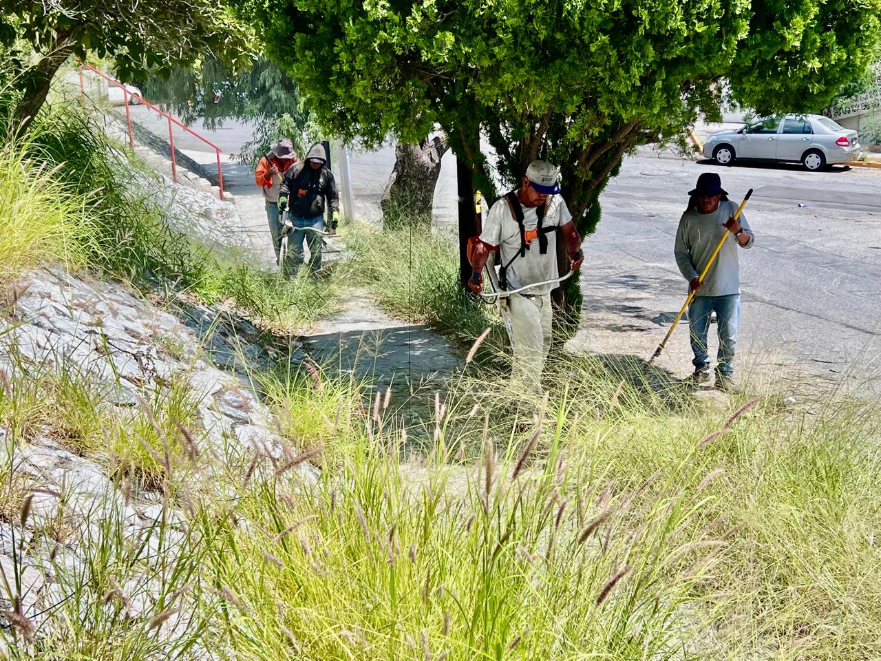 Recolectan mil 923 toneladas de basura y maleza en Santa Catarina