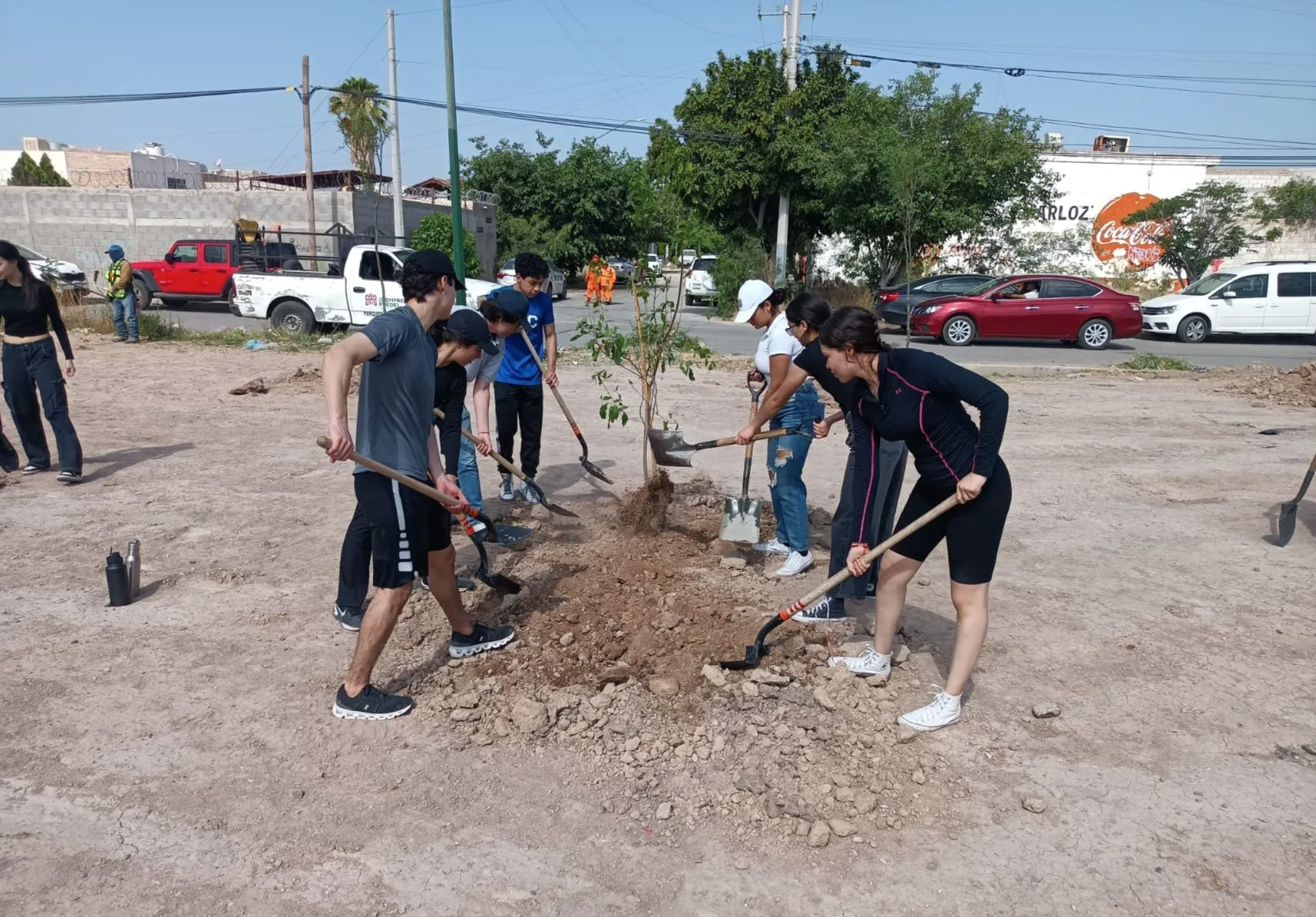 Trabaja Torreón en campaña de reforestación