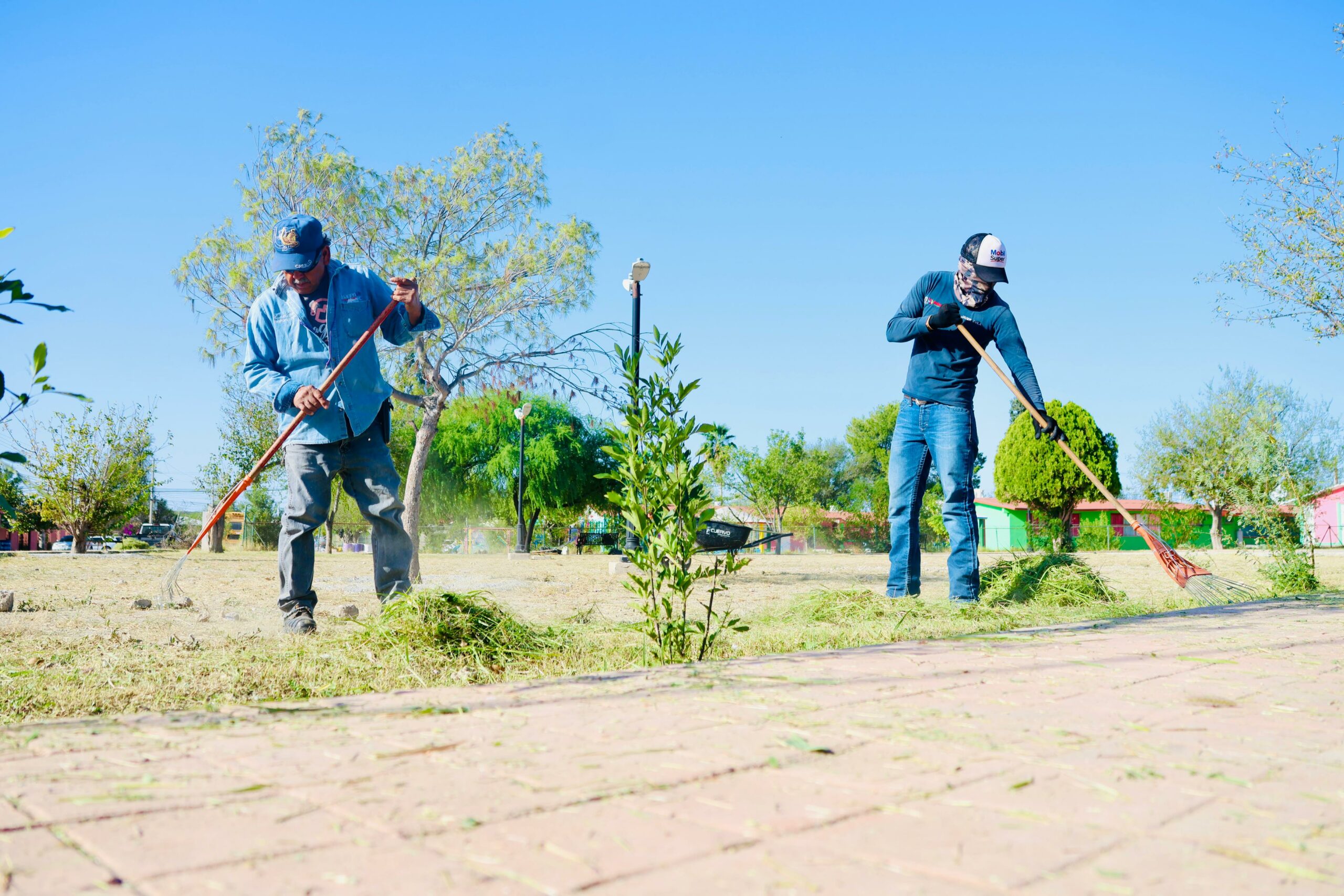 Acciones de limpieza y jardinería en plazas públicas de Sabinas