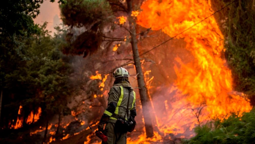 El 2024 se registra como el año con más incendios forestales en México