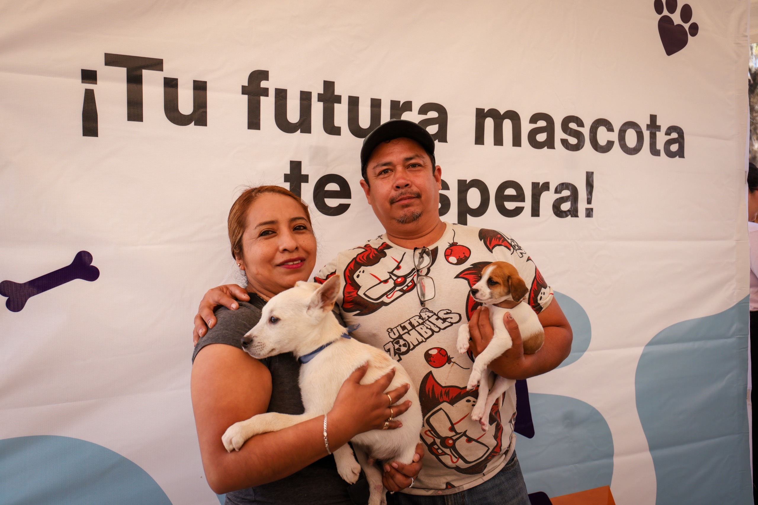 Gobierno de Santiago impulsa la adopción responsable; más de 24 perritos rescatados encontraron una familia