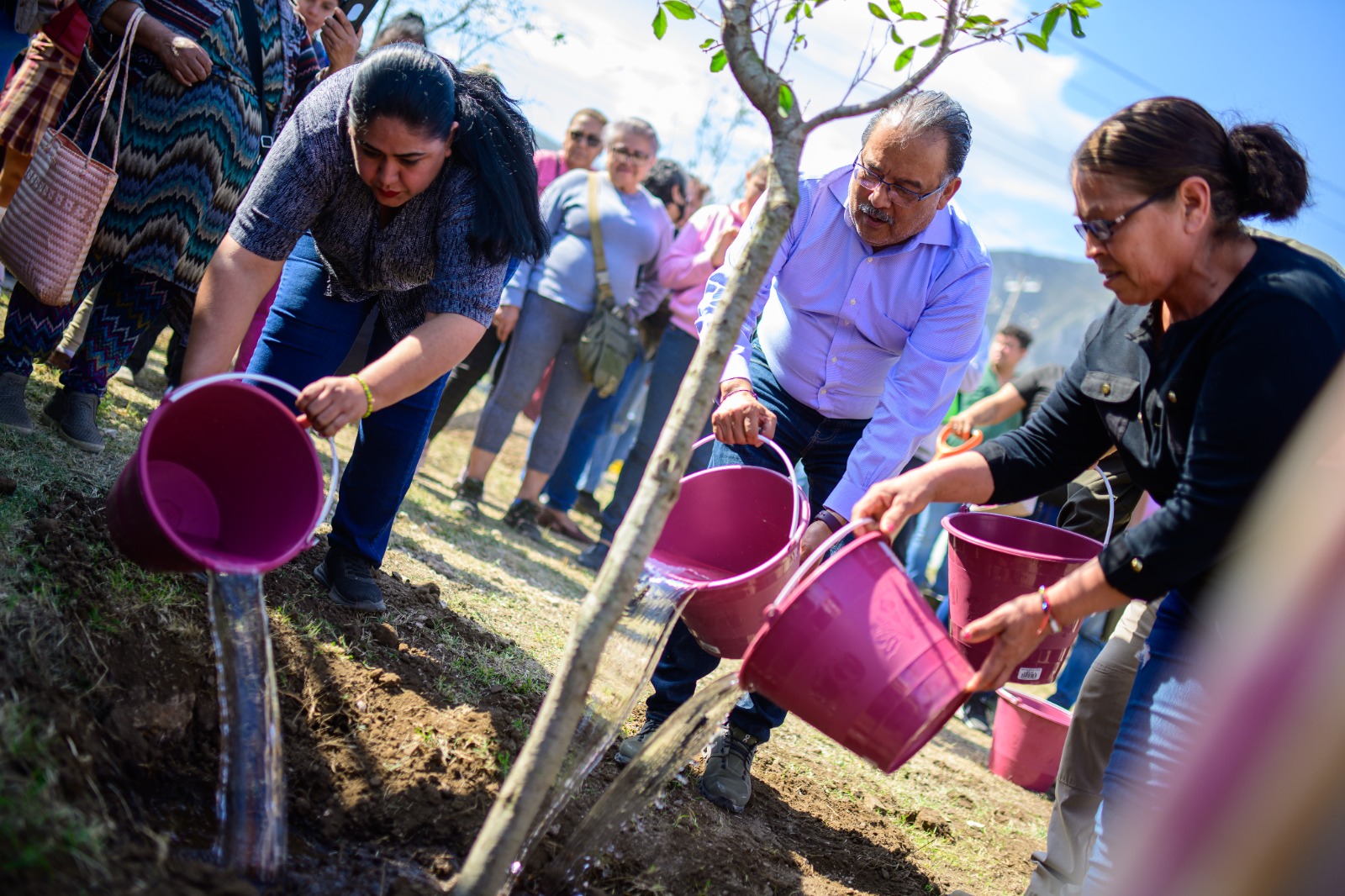 Plantará Escobedo otros mil árboles; proyectan más de 30 mil para el 2027