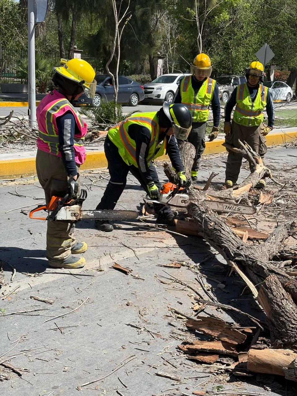 Rachas de viento causan estragos en infraestructura de Torreo?n