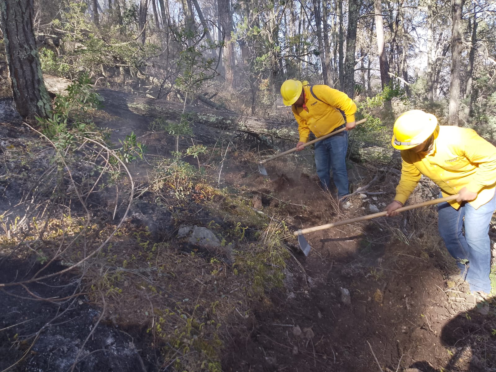 Se registra un 100% de control del incendio en “El Tunal”