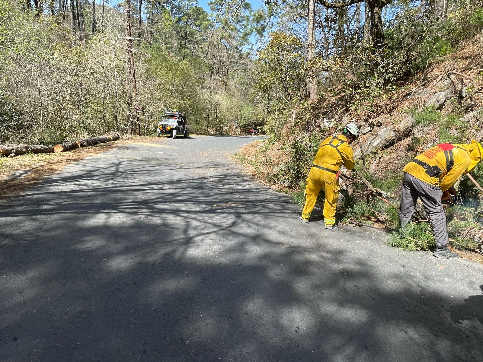 Implementa Gobierno de David de la Peña medidas de prevención de incendios en la sierra, ante fuertes vientos