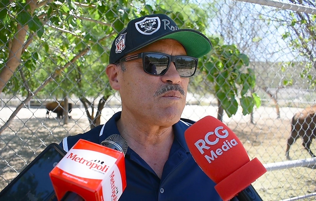 Nace un nuevo bisonte en el Ecoparque Monclova Nace un nuevo bisonte en el Ecoparque Monclova