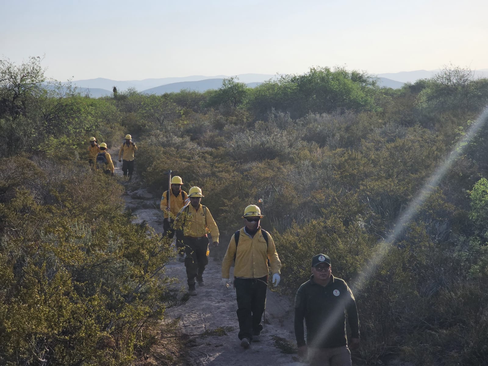 Refuerzan brigadistas de la SEDUMA combate a incendio de pastizales en Tula Refuerzan brigadistas de la SEDUMA combate a incendio de pastizales en Tula