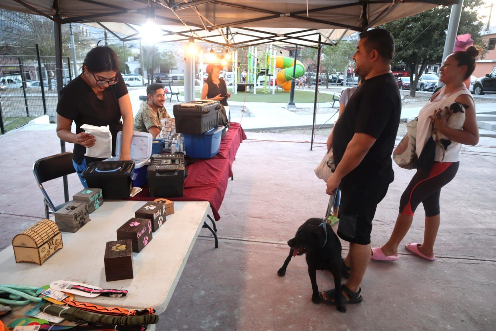 Promueve Santa Catarina protección y adopción de perros y gatos Promueve Santa Catarina protección y adopción de perros y gatos